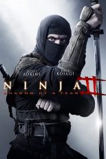 دانلود دوبله فارسی فیلم Ninja: Shadow of a Tear 2013