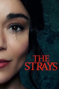 دانلود فیلم The Strays 2023 با زیرنویس چسبیده دانلود فیلم The Strays 2023 با زیرنویس چسبیده