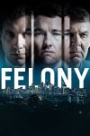 دانلود دوبله فارسی فیلم Felony 2013