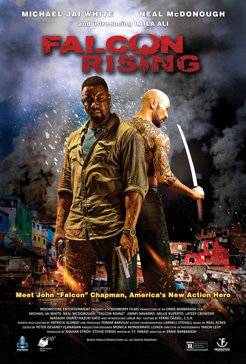 دانلود فیلم Falcon Rising 2014 با زیرنویس فارسی چسبیده دانلود فیلم Falcon Rising 2014 با زیرنویس فارسی چسبیده
