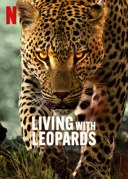 دانلود فیلم Living with Leopards 2024 با زیرنویس چسبیده