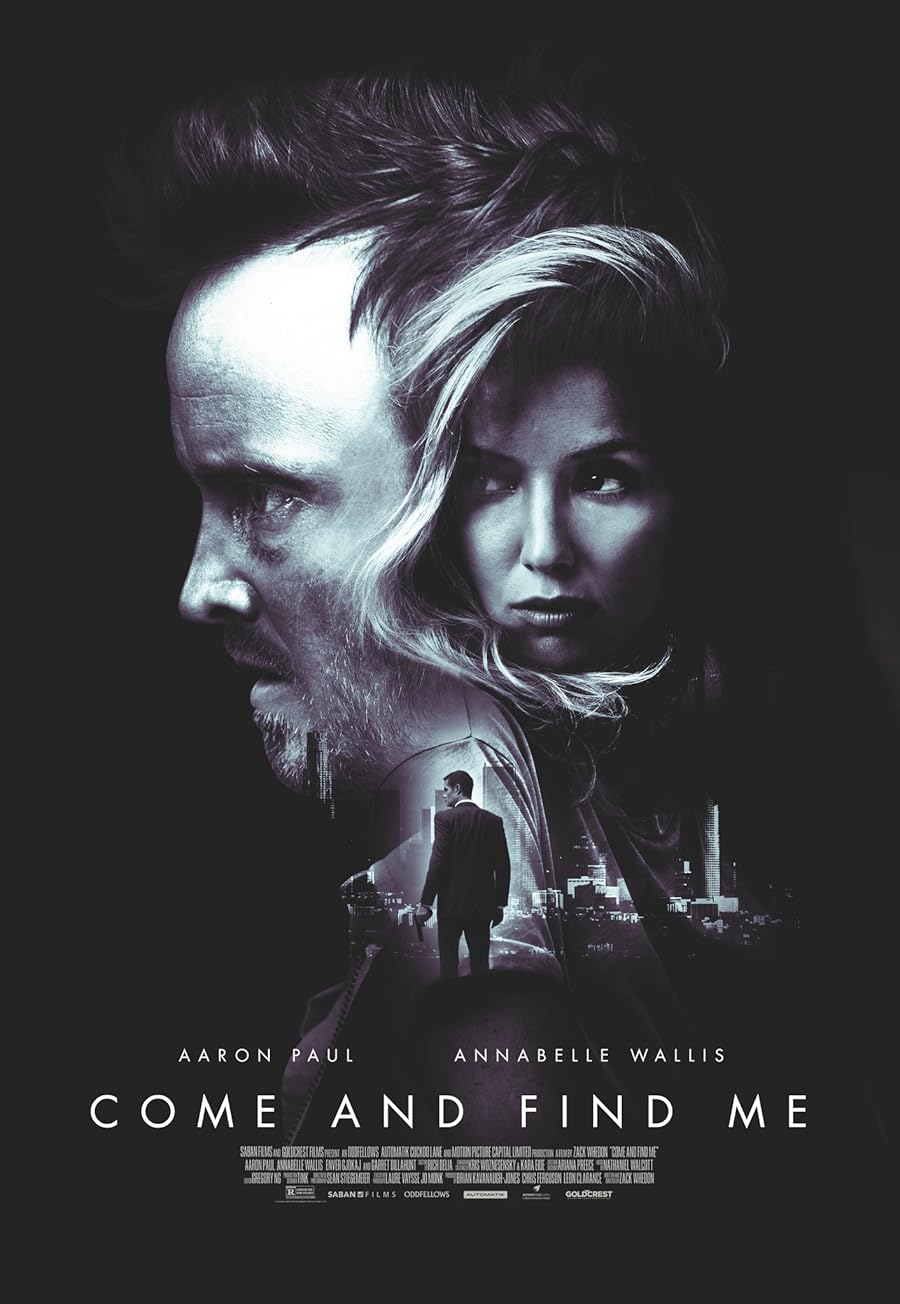 دانلود فیلم Come and Find Me 2016 با زیرنویس چسبیده